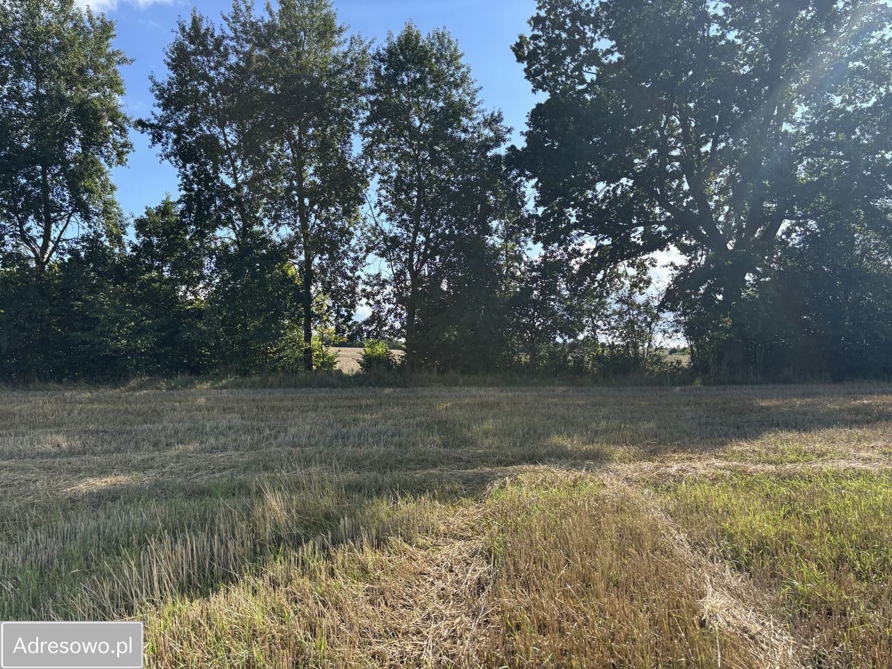 Działka budowlana Klonowo Dolne. Zdjęcie 7