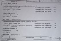 Działka rolna Jarzeń. Zdjęcie 4