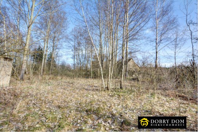 dom wolnostojący, 2 pokoje Wiejki. Zdjęcie 18