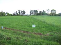 Działka rolna Skrzeszew. Zdjęcie 1