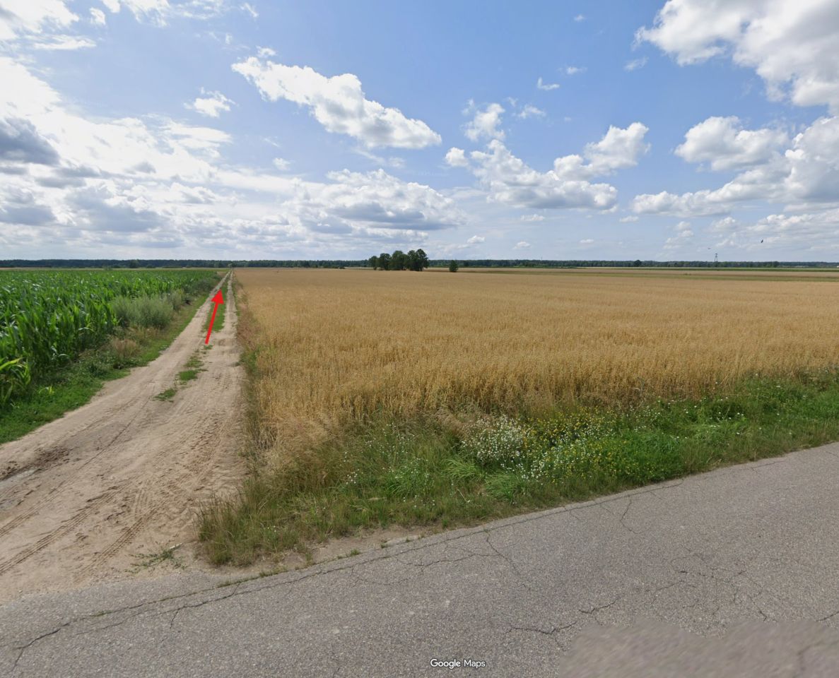 Działka rolna Gostkowo. Zdjęcie 3