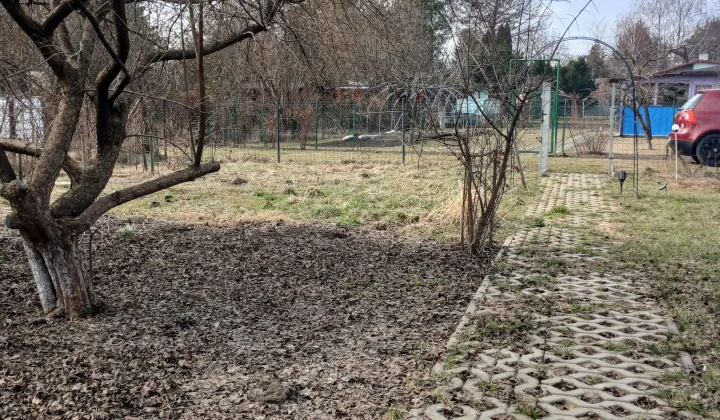 Działka rod Warszawa Praga-Południe, ul. Skalnicowa