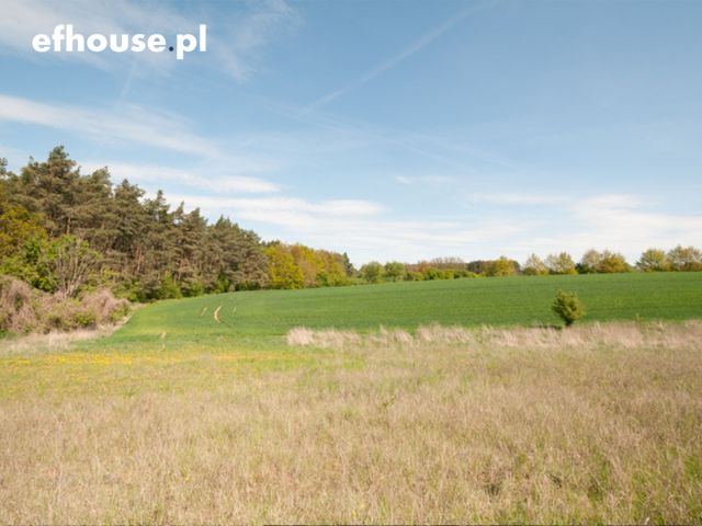 Działka rekreacyjna Wolice. Zdjęcie 11