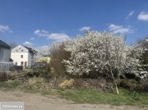 Działka budowlana Luboń, ul. Skowronkowa. Zdjęcie 4