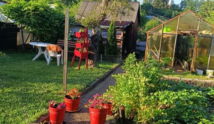 Działka rod Wałbrzych Piaskowa Góra