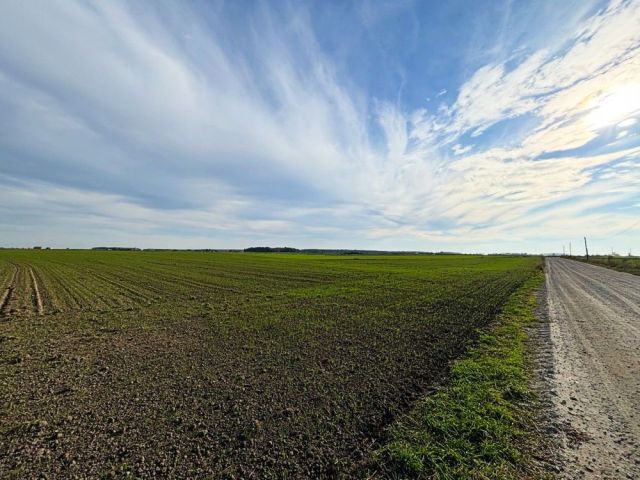 Działka budowlana Czołowo. Zdjęcie 1