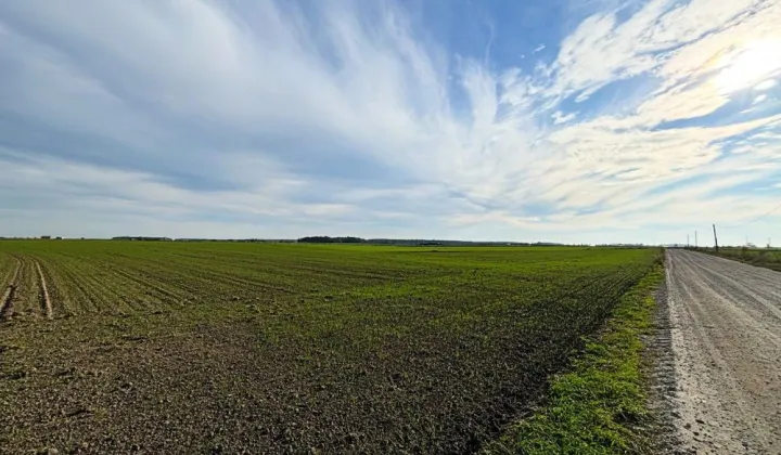 Działka budowlana Czołowo