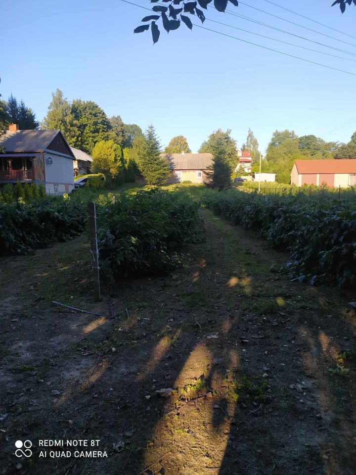 gospodarstwo Blinów Pierwszy. Zdjęcie 3