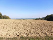 Działka rolno-budowlana Wiśniowa Dziadówki. Zdjęcie 2