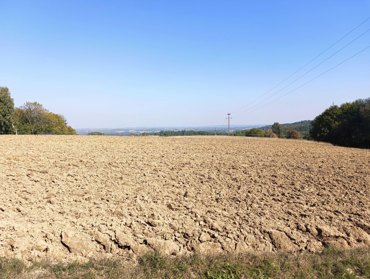 Działka rolno-budowlana Wiśniowa Dziadówki. Zdjęcie 3