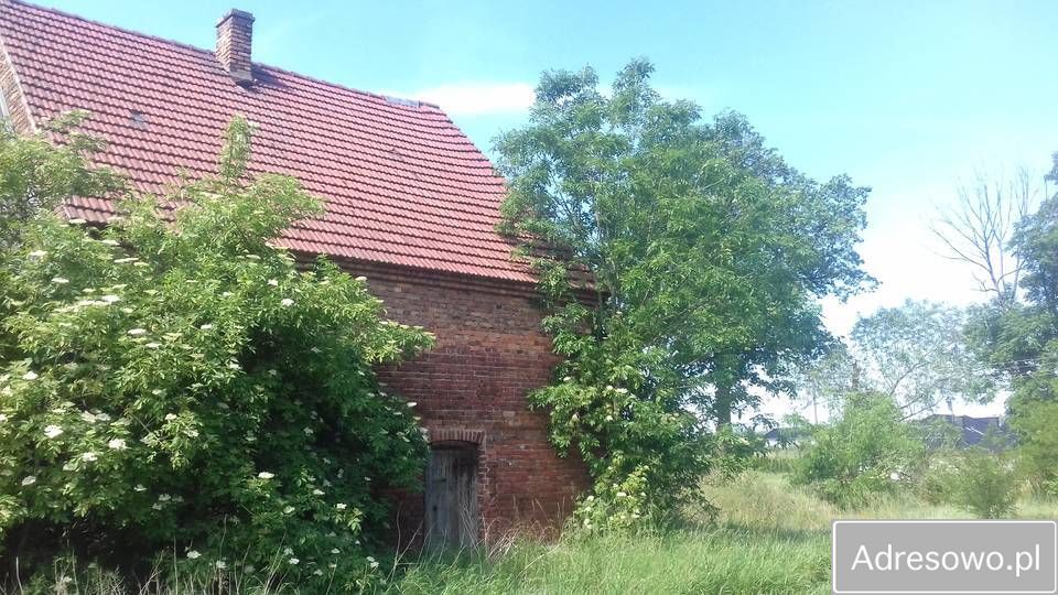 gospodarstwo Bożnów. Zdjęcie 10