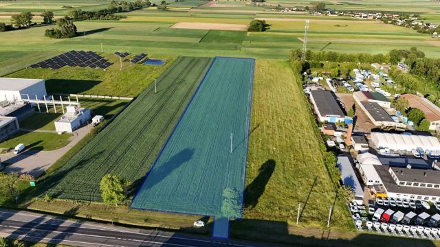 Działka inwestycyjna Daszyna. Zdjęcie 1