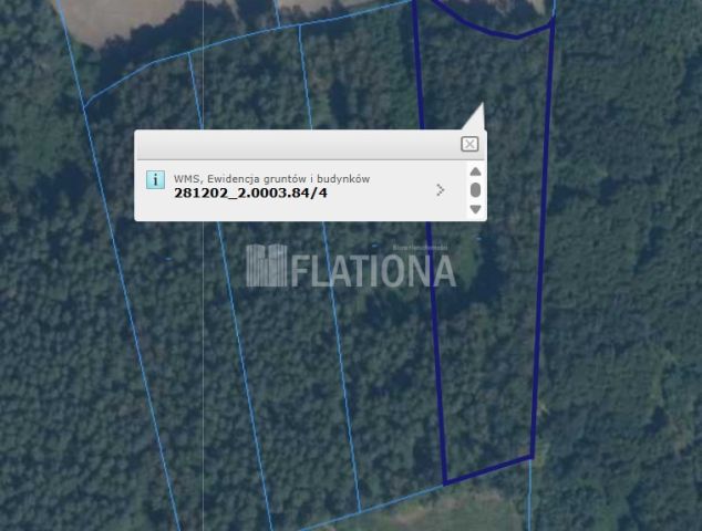 Działka leśna Czachówki. Zdjęcie 2