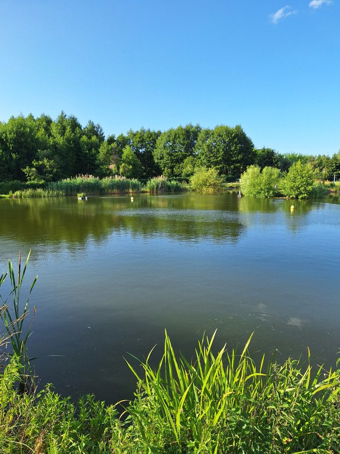 Działka Strzygi. Zdjęcie 10