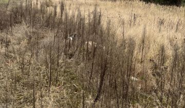 Działka budowlana Borowa Góra, ul. Długa