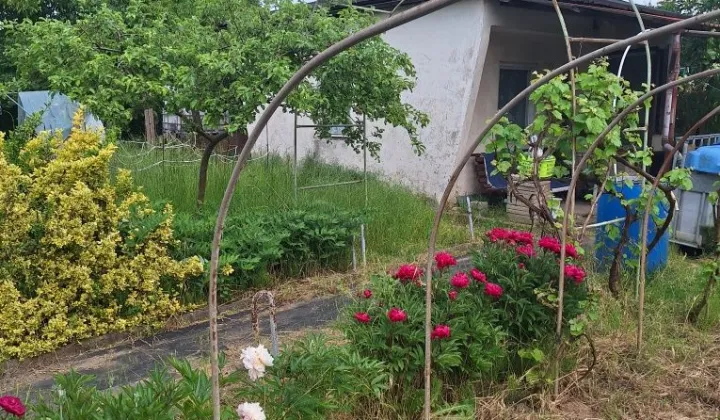 Działka rod Nowa Sól