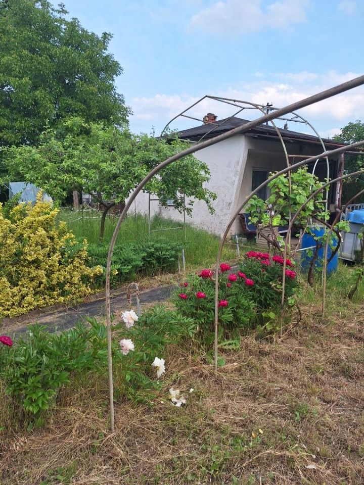 Działka rod Nowa Sól. Zdjęcie 1