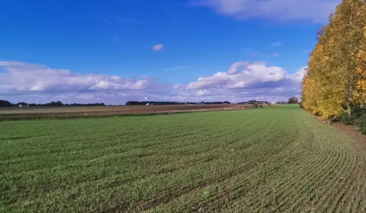 Działka budowlana Bryszki
