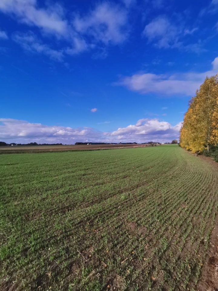 Działka budowlana Bryszki. Zdjęcie 1