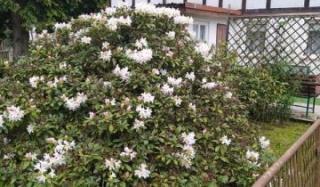 dom wolnostojący, 5 pokoi Bogatynia