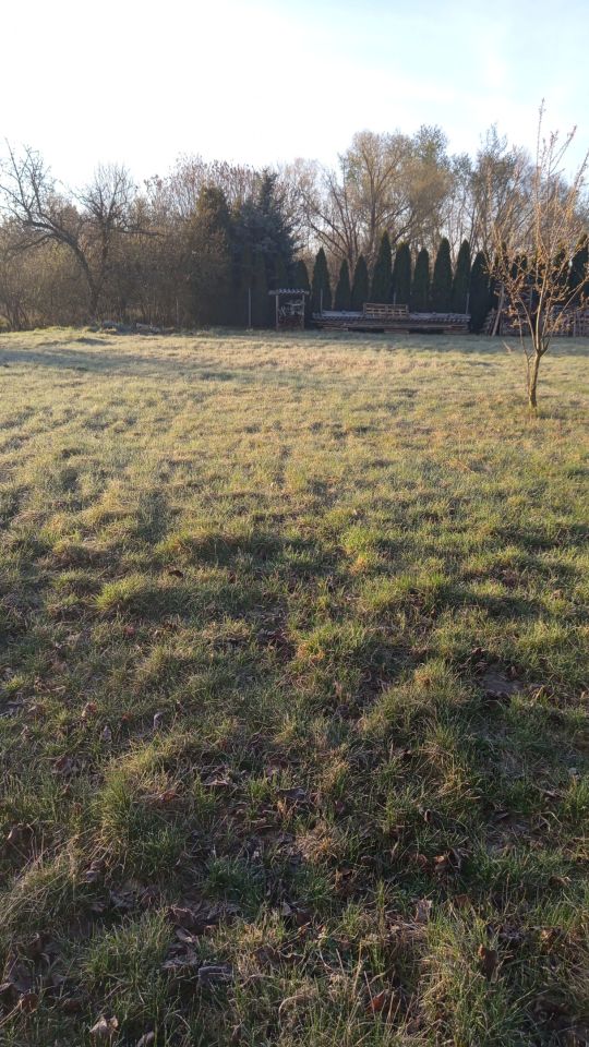 Działka budowlana Cegielnia, ul. Nowa. Zdjęcie 5