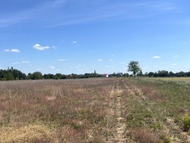 Działka budowlana Wudzyn. Zdjęcie 1