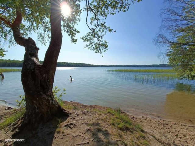 Działka budowlana Perlino. Zdjęcie 1