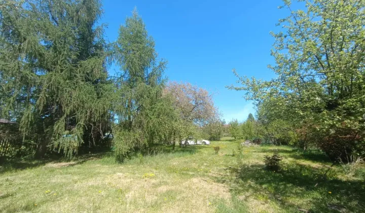 Działka budowlana Kalinowice