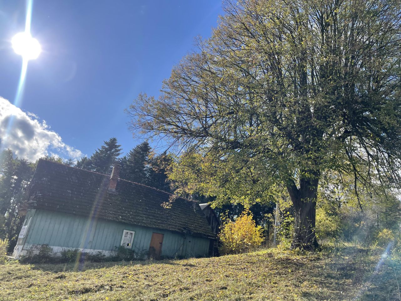 Działka siedliskowa Trzetrzewina Sołtystwo. Zdjęcie 11