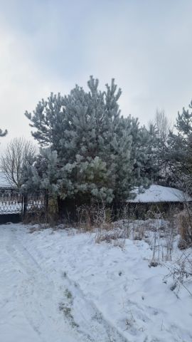 dom wolnostojący, 4 pokoje Holendry Baranowskie. Zdjęcie 5