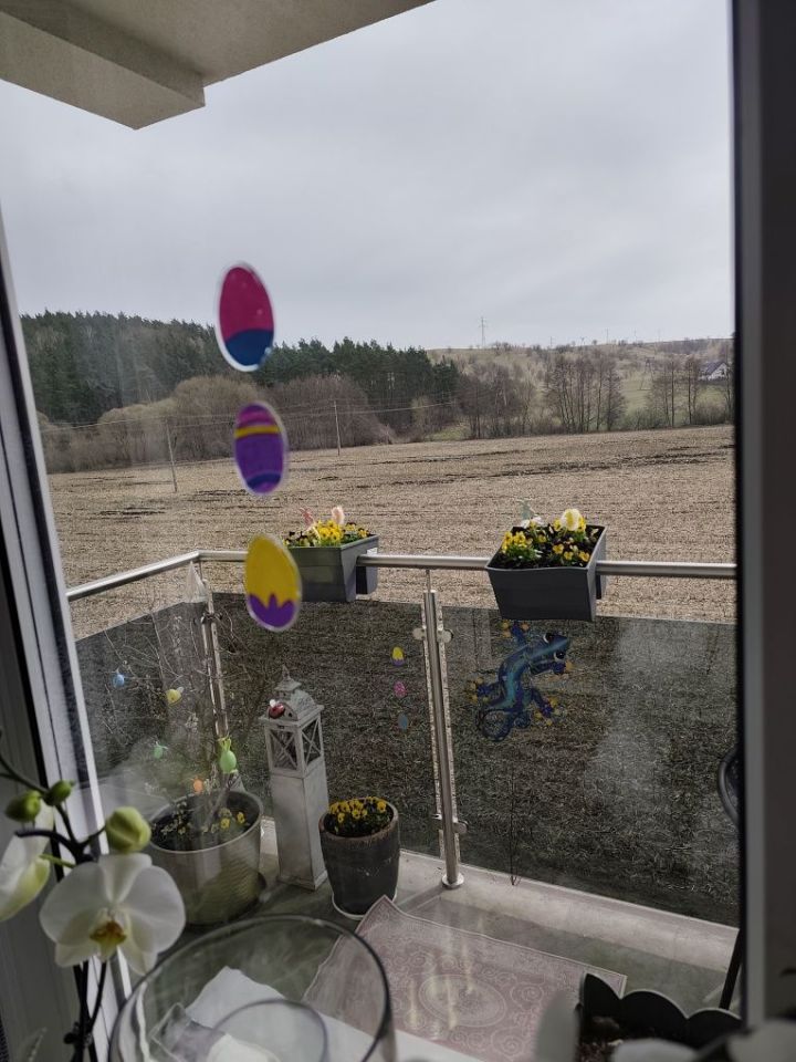 Mieszkanie 2-pokojowe Mszanowo. Zdjęcie 8