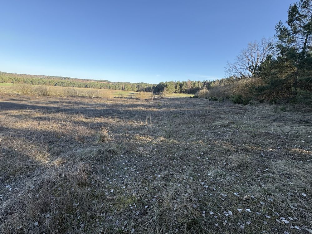 Działka budowlana Mały Dólsk. Zdjęcie 8