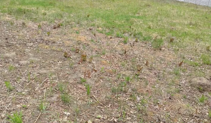 Działka budowlana Bukowa