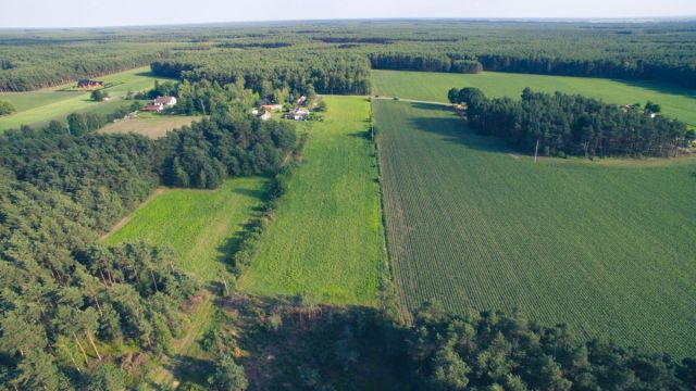 Działka budowlana Gizałki. Zdjęcie 2