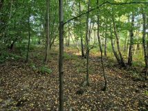 Działka rolna Czułów. Zdjęcie 3