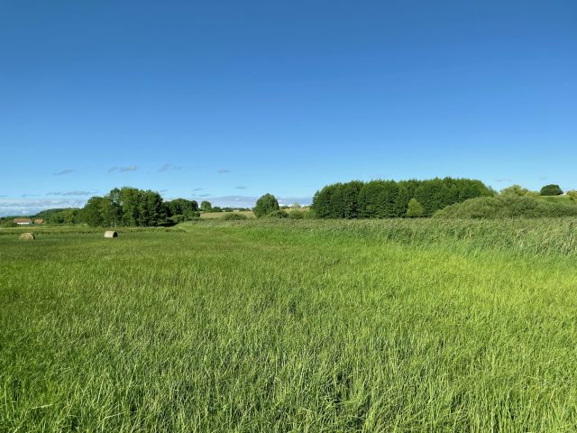 Działka rolno-budowlana Idzbark Idzbarski Młyn. Zdjęcie 1