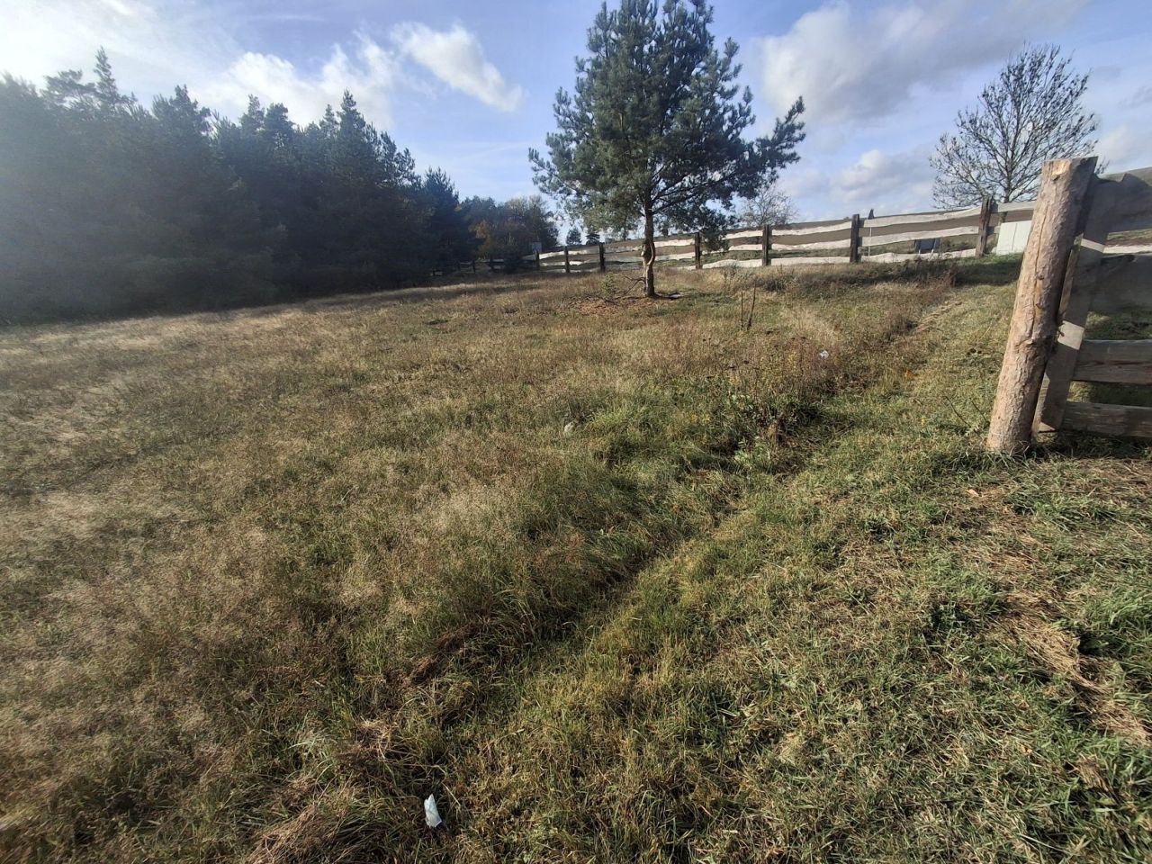 Działka budowlana Świniary. Zdjęcie 7