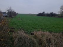 Działka budowlana Lisewo-Parcele. Zdjęcie 2