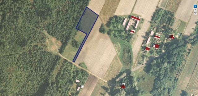 Działka rolna Leśniczówka. Zdjęcie 1