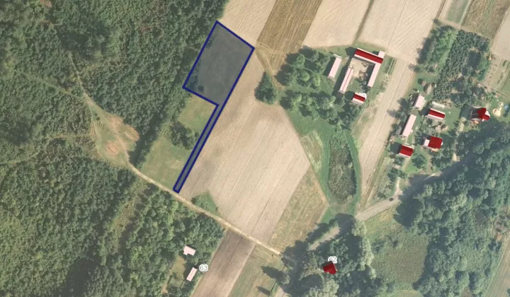 Działka rolna Leśniczówka