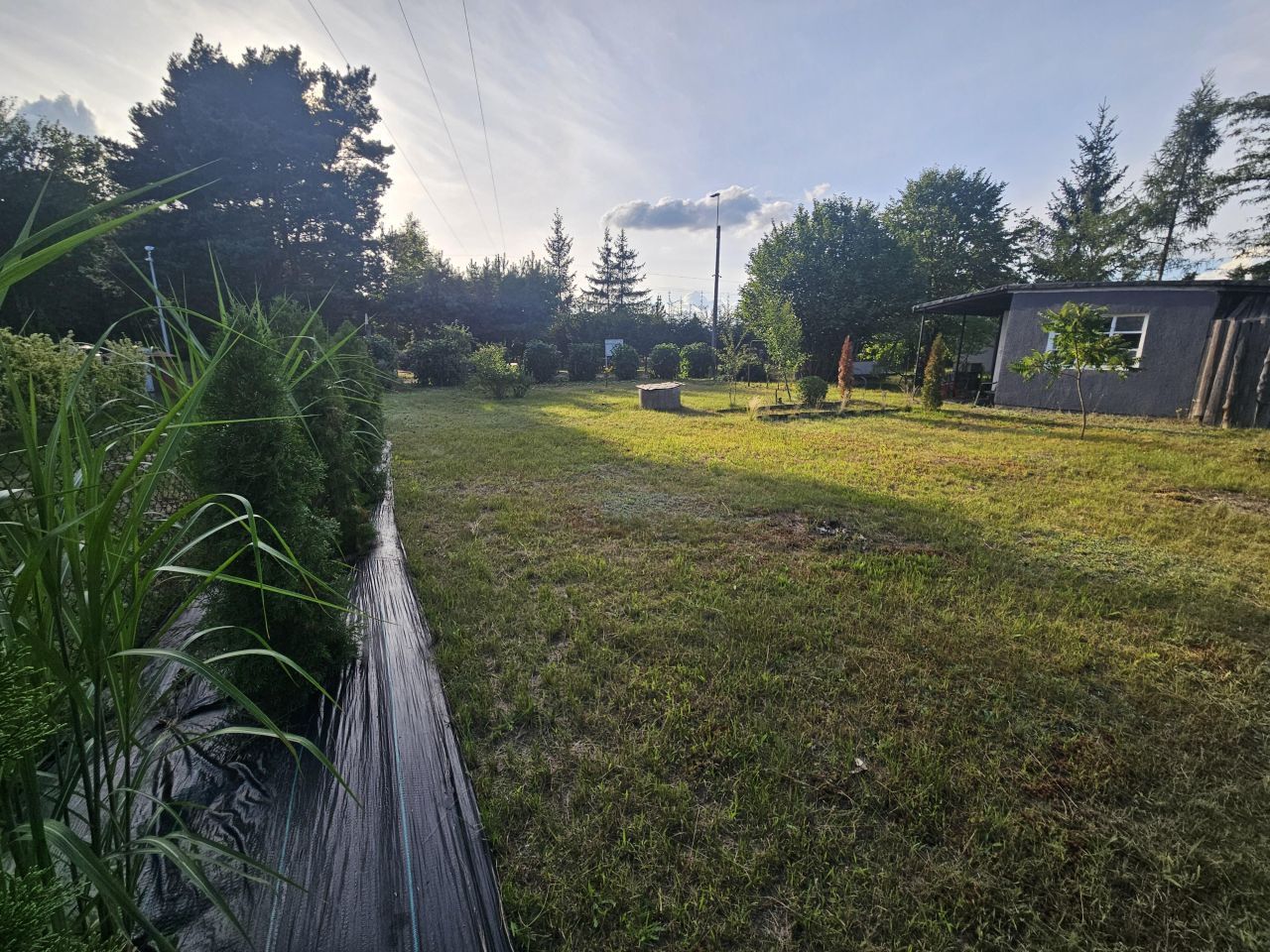 Działka rod Nowy Tomyśl. Zdjęcie 5