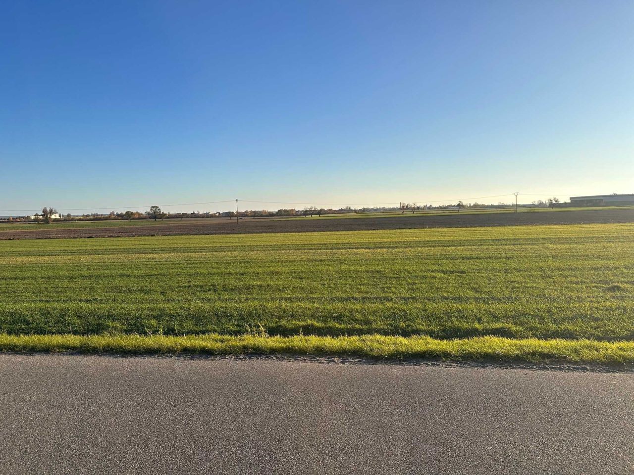 Działka budowlana Brzezie. Zdjęcie 2