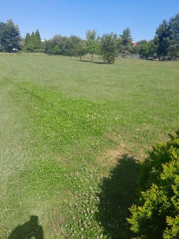 Działka budowlana Lędziny Blich, ul. Wiosenna. Zdjęcie 1