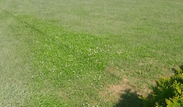 Działka budowlana Lędziny Blich, ul. Wiosenna