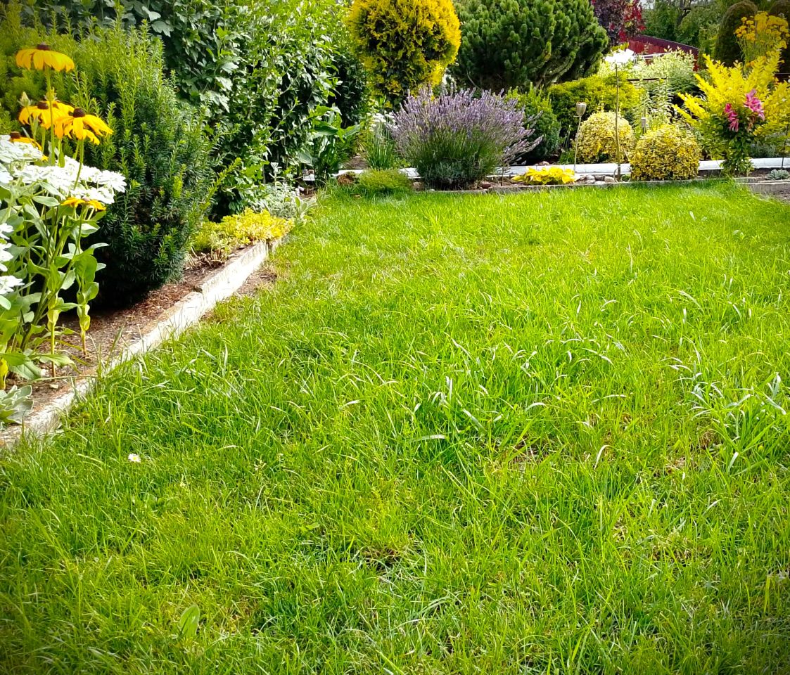 Działka rod Białystok, ul. Adama Mickiewicza. Zdjęcie 12