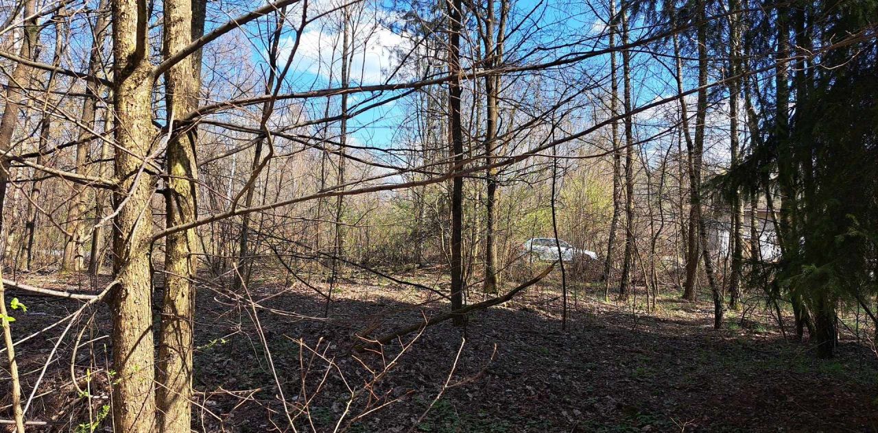 Działka rolno-budowlana Przyłogi Znajoma. Zdjęcie 7