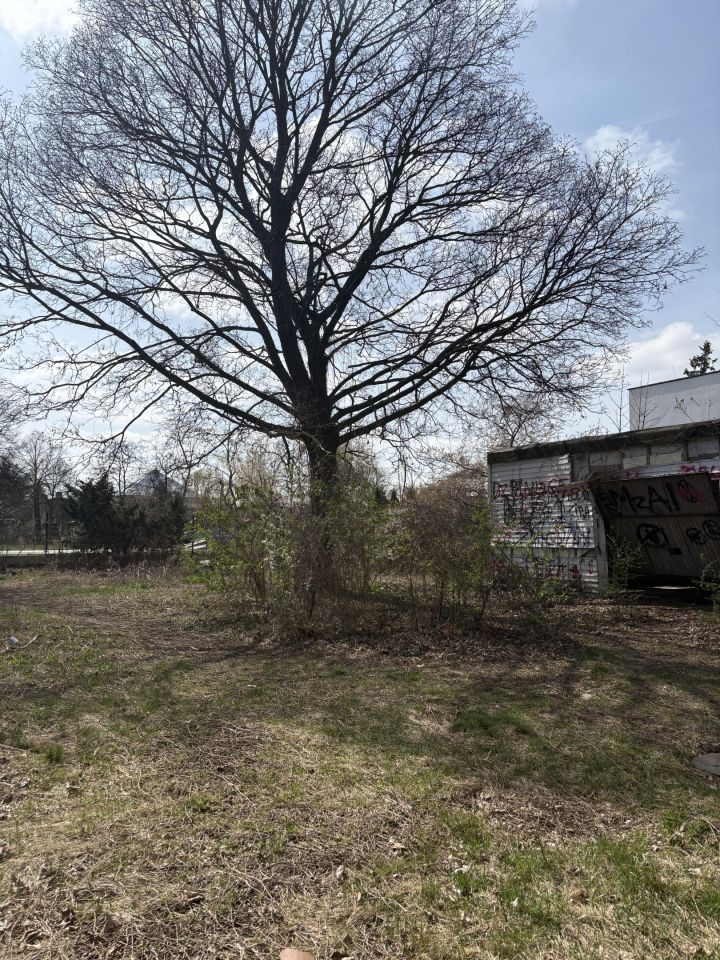 Działka inwestycyjna Aleksandrów Łódzki Centrum, ul. Wojska Polskiego. Zdjęcie 9