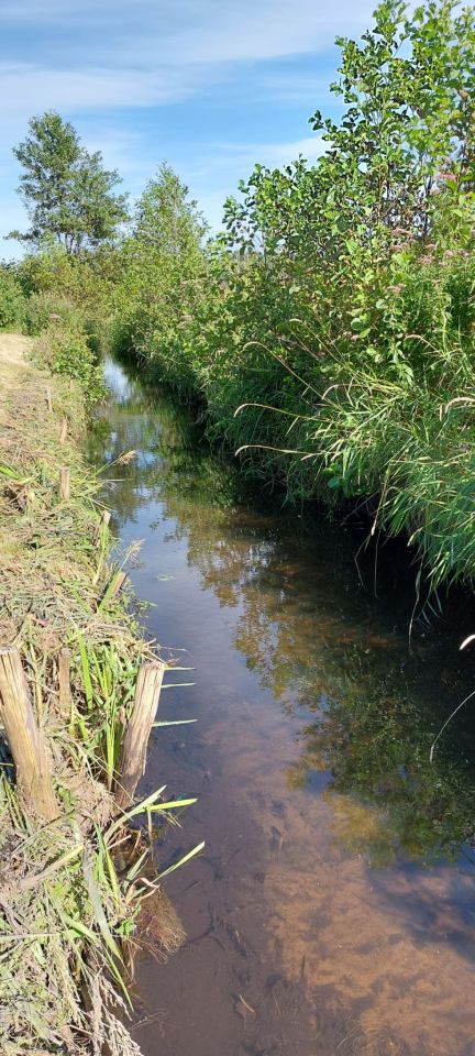 dom wolnostojący, 3 pokoje Chotów, Chotów. Zdjęcie 17