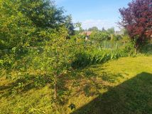 Działka rod Kiełczów. Zdjęcie 4