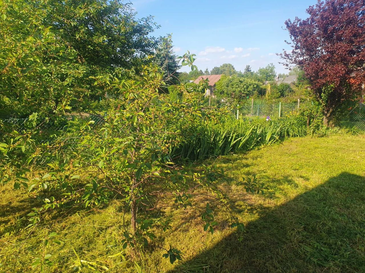 Działka rod Kiełczów. Zdjęcie 5